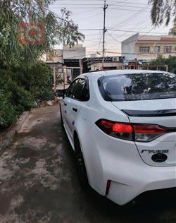 تويوتا كورولا